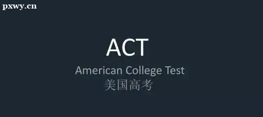 actWஔڇʲôˮƽyy