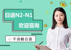 ZN2-N1Ӗ