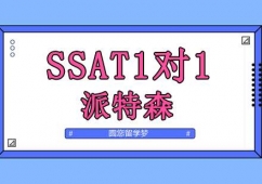 SSAT11Ӗ