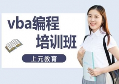 ϾvbaӖ