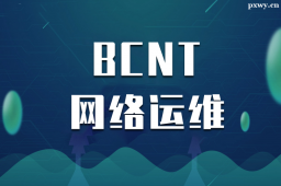 ϲBCNTW(wng)j(lu)\(yn)S(zhun)I(y)nӖ(xn)