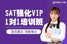 SATVIP11Ӗ
