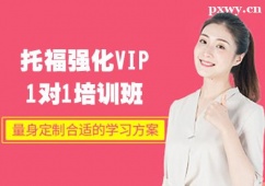 иVIP11Ӗ